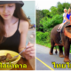 8 เรื่องราวของคนไทยที่ต่างชาติเห็นยังต้อง &Quot;งง&Quot; - World Of Buzz