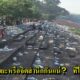 คนไทยหลังชมบั้งไฟพญานาค ทิ้งขยะเกลื่อนนับแสน! โซเชียลถาม ไหนอยากเป็นแบบญี่ปุ่น? - World Of Buzz 1