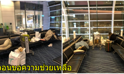 นร. ไทยขอความช่วยเหลือ ติดค้างที่ญี่ปุ่น ใช้ชีวิตในสนามบิน นอนหน้าเกต นานวันกลัวติดโควิด 19 - World Of Buzz