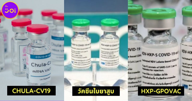 Copy of 4 ค่ายมือถือ จองวัคซีน 1 31 สิงหา 64 3