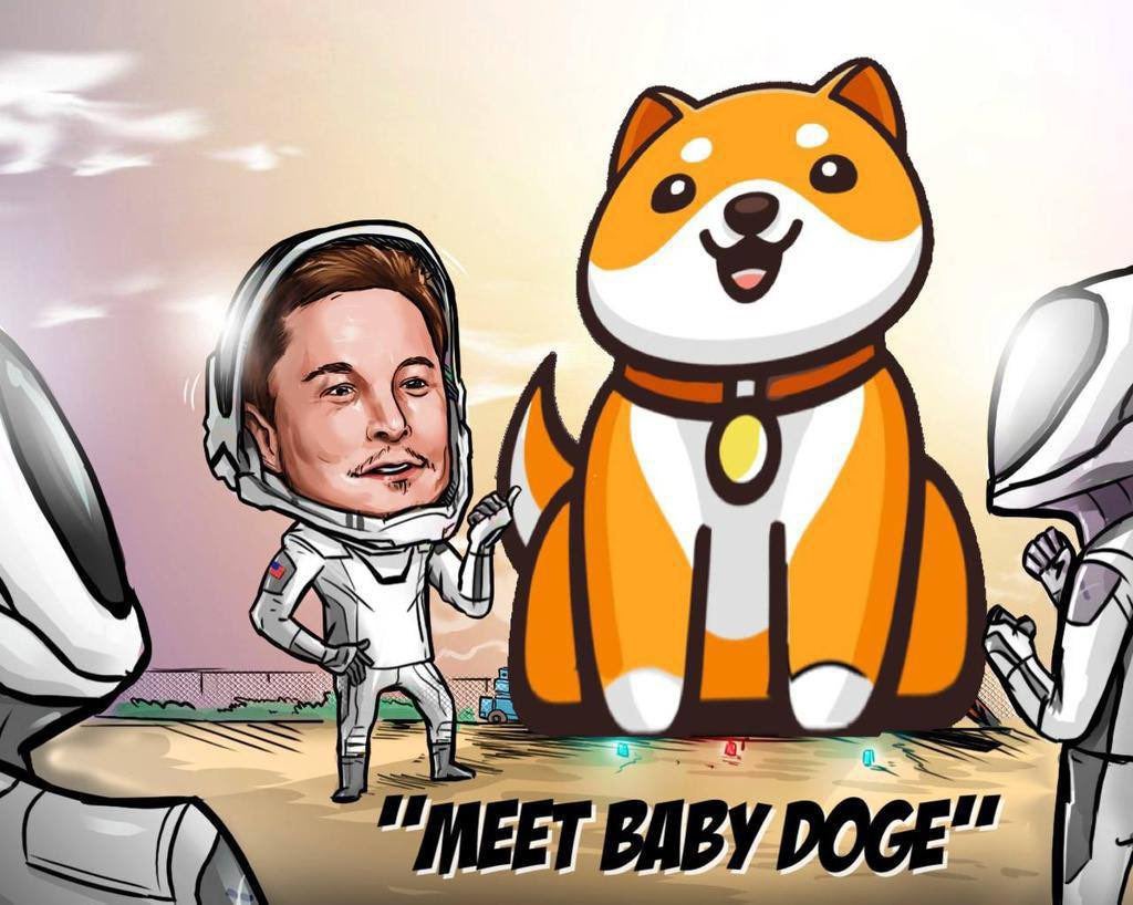 Elon Musk And Baby Doge Coin