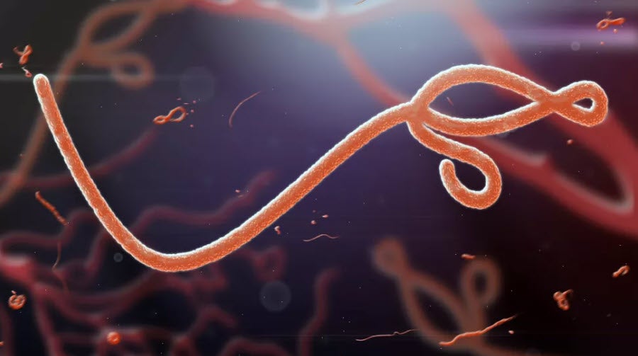 ไวรัสอีโบลา