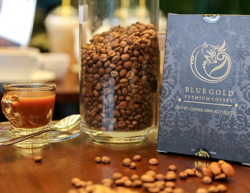 Bluegold Coffee