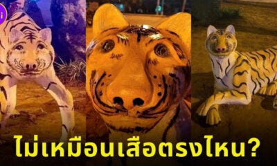 ชาวเน็ตเวียดนามโวยวายรูปปั้นเสือพิการ จนต้องสั่งยกออกจากโชว์