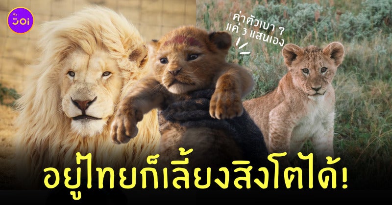 เลี้ยงสิงโตในไทย