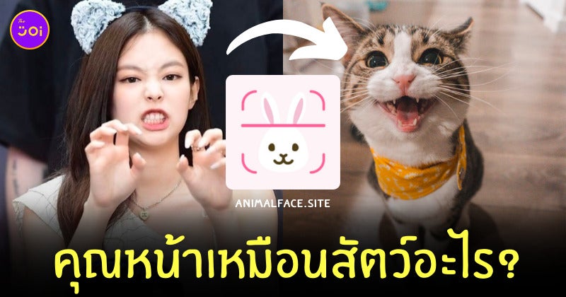 Animalface.site หน้าเหมือนสัตว์อะไร