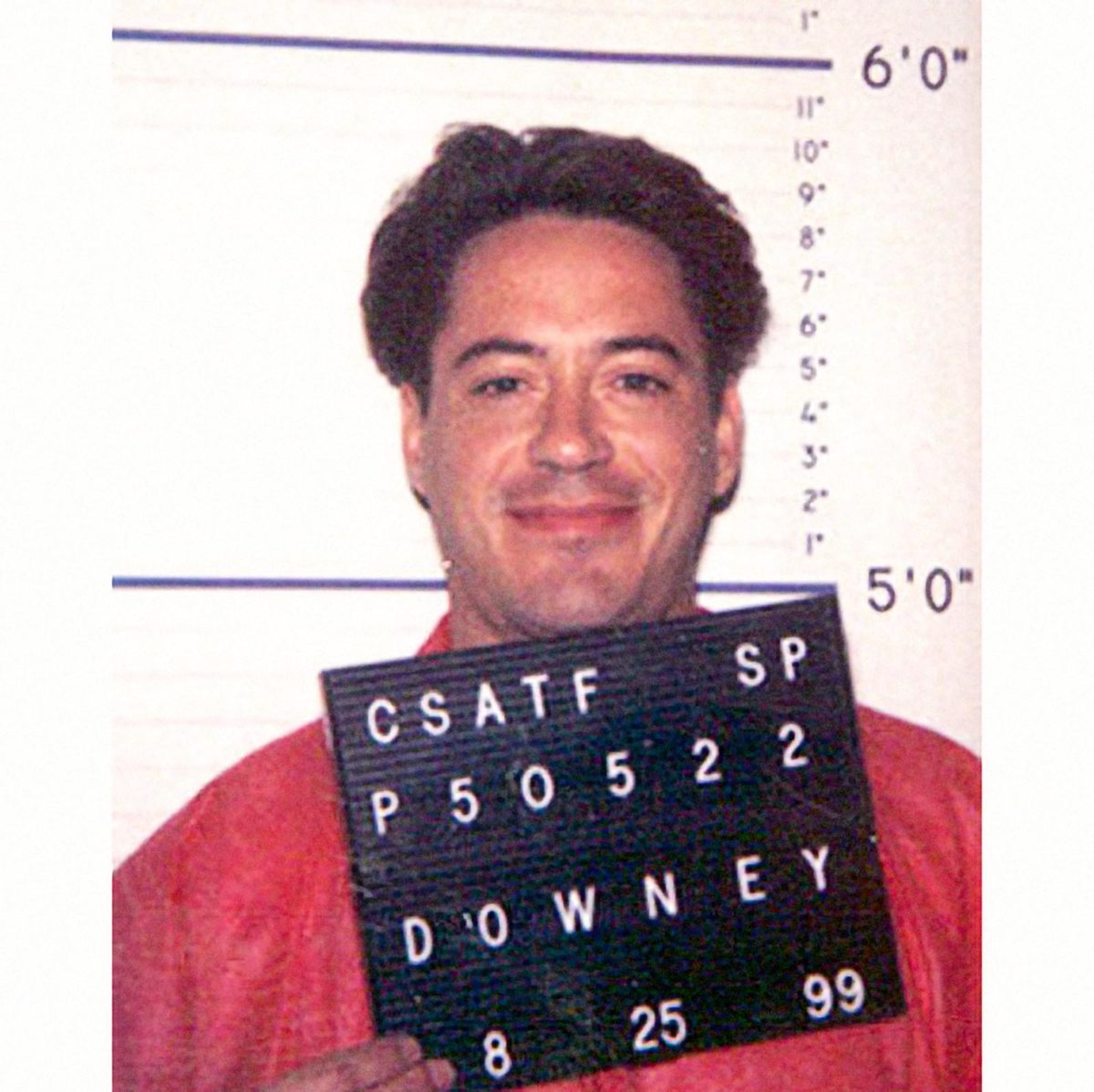 โรเบิร์ต ดาวนีย์ จูเนียร์ (Robert Downey Jr.)