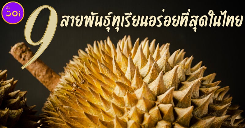 9 สายพันธุ์ทุเรียนอร่อยที่สุดในไทย ถูกปากคนไทยและต่างชาติตลอดกาล