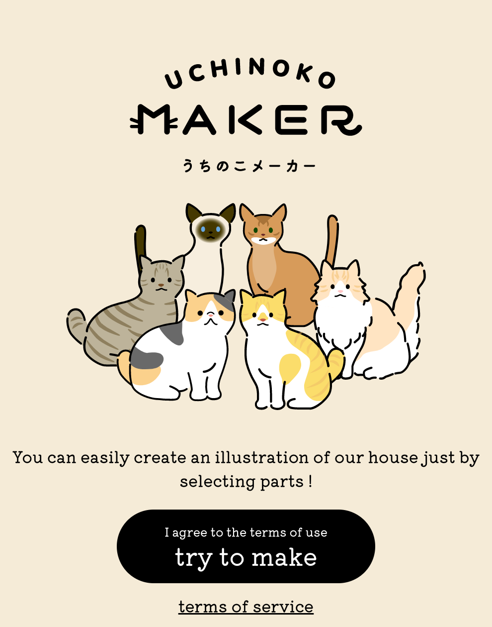 เว็บไซต์ดีไซน์ภาพแมว