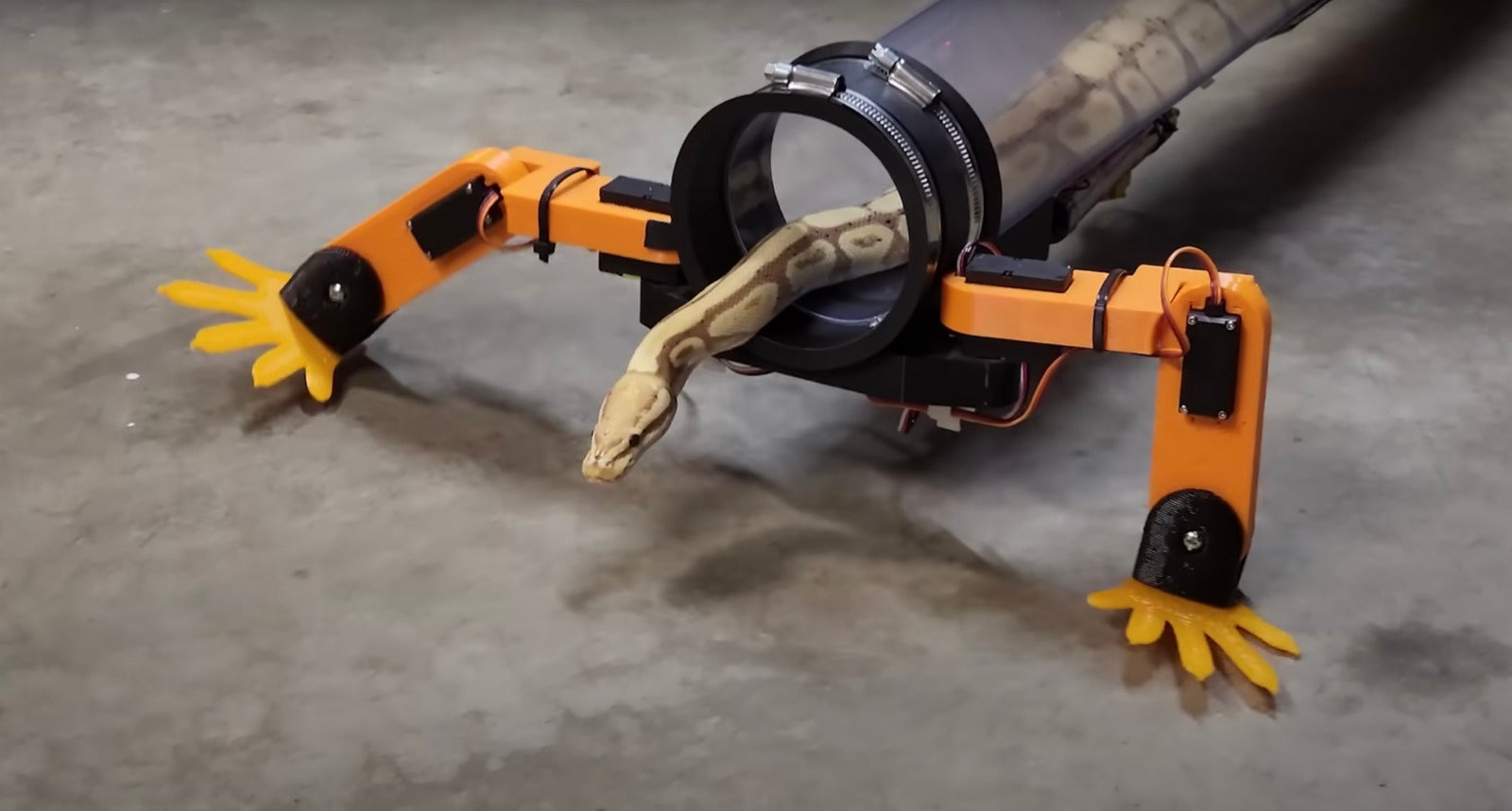 งูมีขาหุ่นยนต์