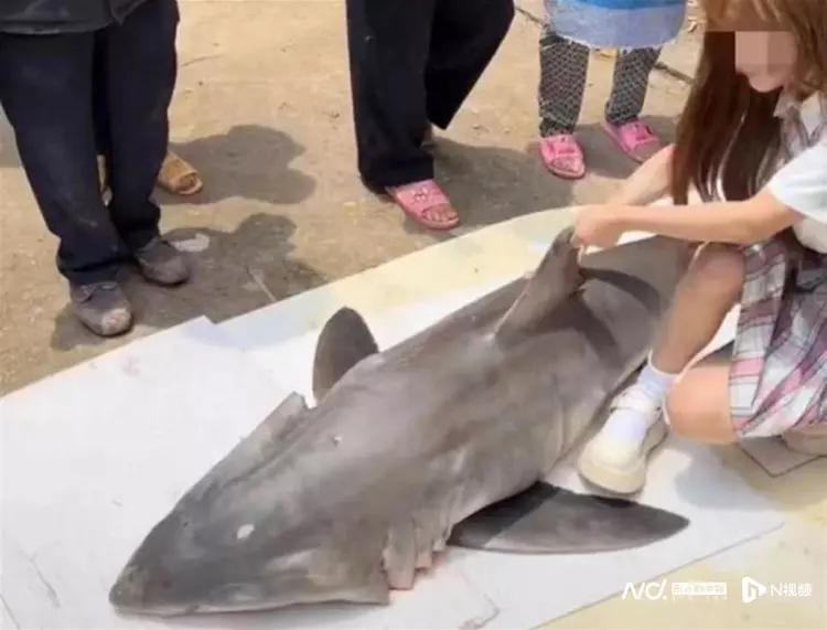น้องอุ้ม หรือ ถีจื่อ (Tizi) อินฟลูเอนเซอร์สาวจีนชื่อดังจ่อติดคุก 10 ปี หลังทำคอนเทนต์กินฉลามขาว