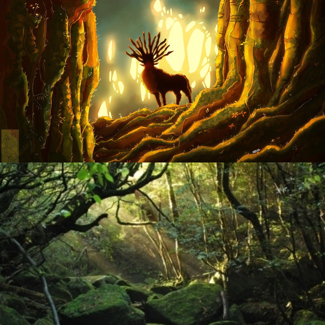 ป่าดึกดำบรรพ์บนเกาะยาคุชิมะ จากเรื่อง Princess Mononoke เจ้าหญิงจิตวิญญาณแห่งพงไพร
