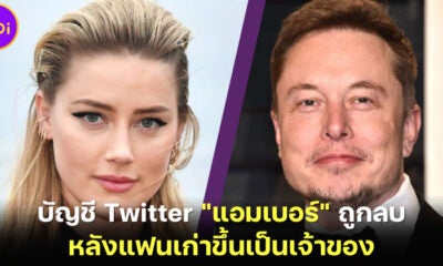 บัญชี Twitter แอมเบอร์ เฮิร์ด (Amber Heard) ถูกลบ หลัง อีลอน มัสก์ (Elon Musk) แฟนเก่าขึ้นเป็นเจ้าของโซเชียลมีเดียยักษ์ใหญ่