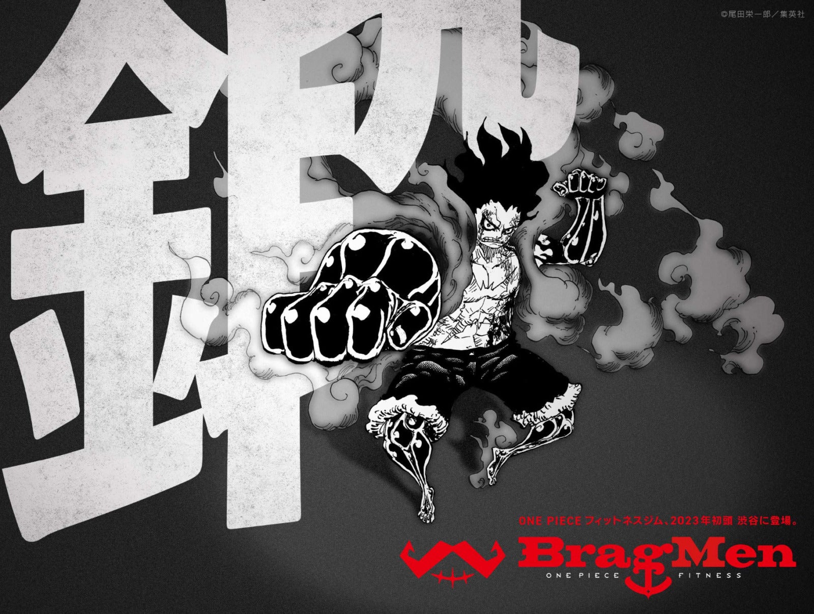 One Piece Fitness Bragmen ยิมวันพีซ ญี่ปุ่น