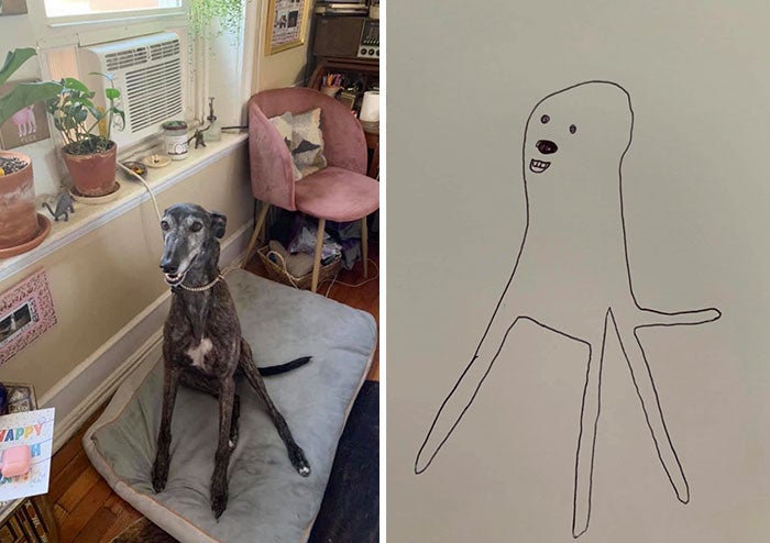 ประกวดภาพวาดสุนัข doodle