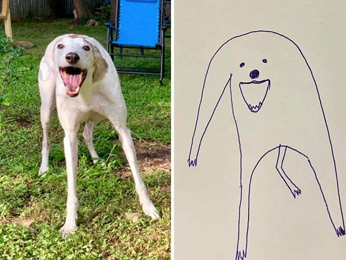 ประกวดภาพวาดสุนัข doodle