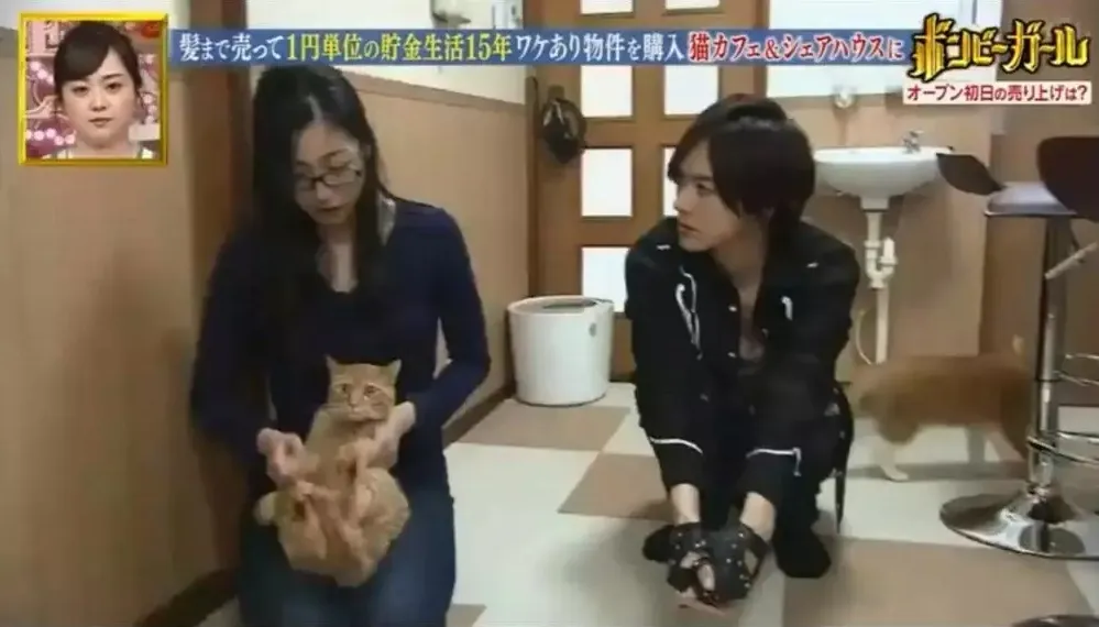 สาวญี่ปุ่น คาเฟ่แมว
