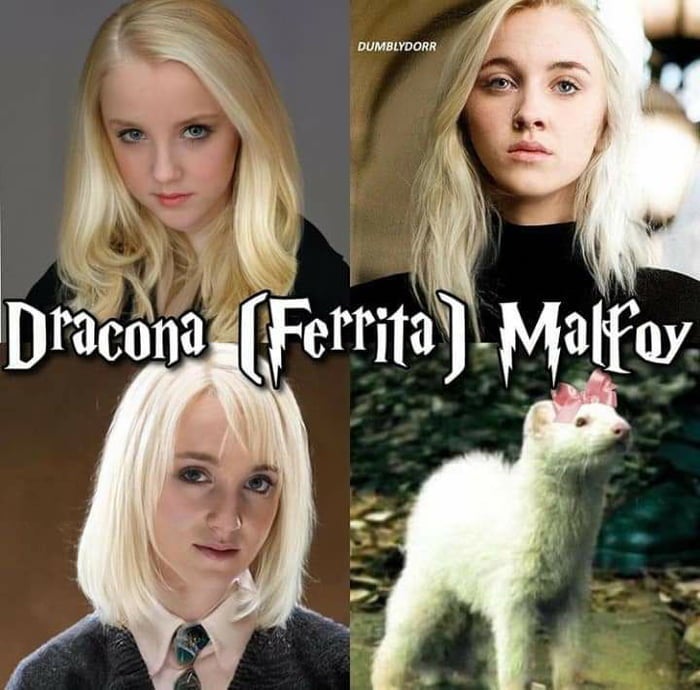 Draco Malefoy