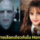นักแสดงสายเลือดเดียวกันใน Harry Potter