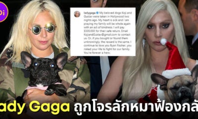 &Quot;เลดี้ กาก้า (Lady Gaga)&Quot; ถูกคนลักพาตัวน้องหมาฟ้องเรียกค่าเสียหาย เพราะไม่ให้เงินรางวัลพบหมา
