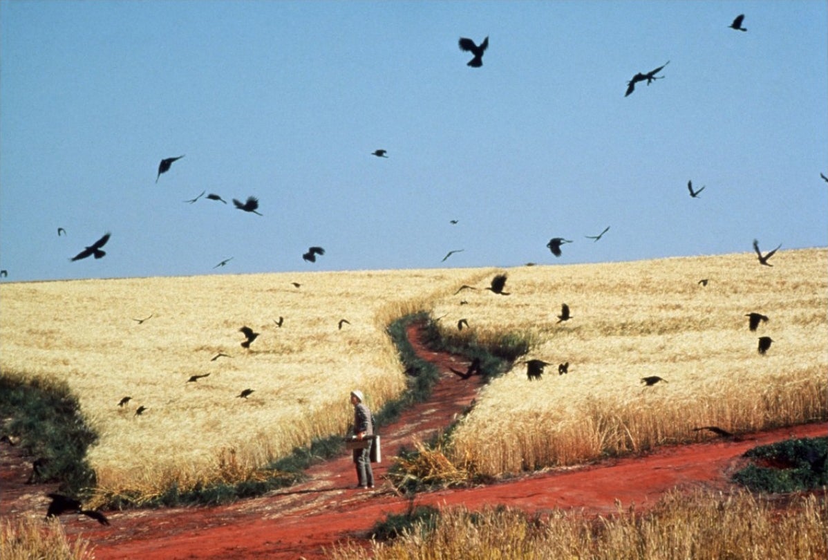 1 Dreams (1990), Akira Kurosawa Wheat Field With Crows (1890), Vincent Van Gogh