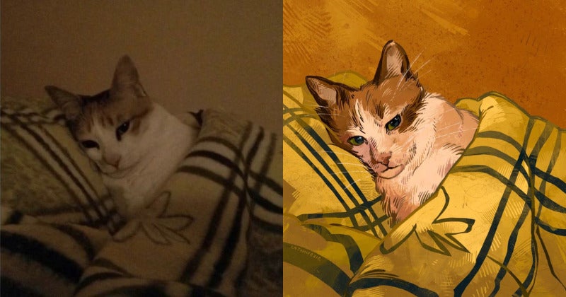 ภาพวาดมีมแมว Catwheezie