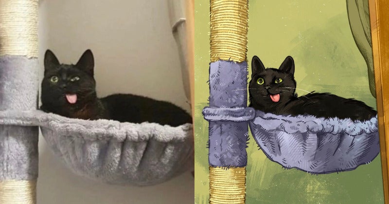 ภาพวาดมีมแมว Catwheezie
