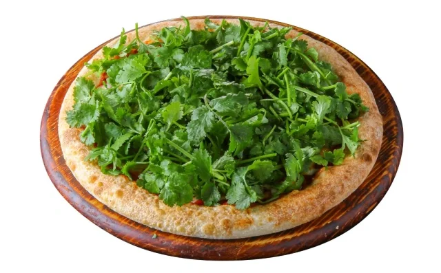Pizza Hut พิซซ่าหน้าผักชี