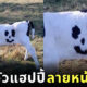 น้องวัวแฮปปี้ วัวลายหน้ายิ้ม