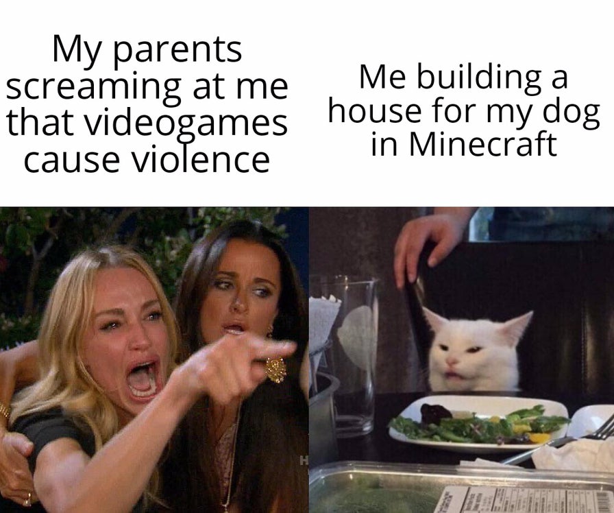 Woman Yelling At A Cat Meme About Videogame Violence Minecraft