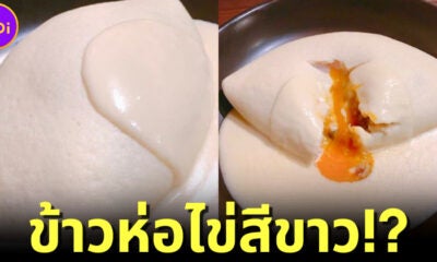 ร้านอาหาร &Quot;Delizioso&Quot; ในญี่ปุ่นปรุงเมนูฟิวชั่นข้าวห่อไข่สีขาวจั๊วะ