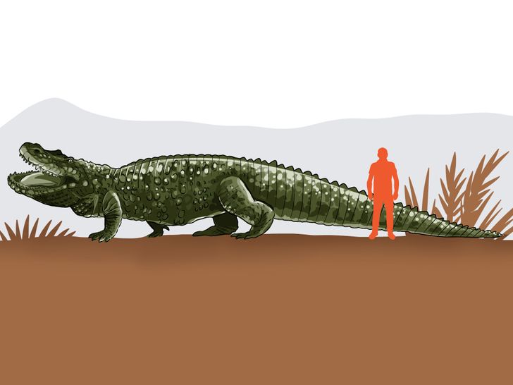 จระเข้ยักษ์ (Deinosuchus หรือ จระเข้ยักษ์)