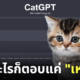 เว็บไซต์ Catgpt คุยกับแมว เหมียว