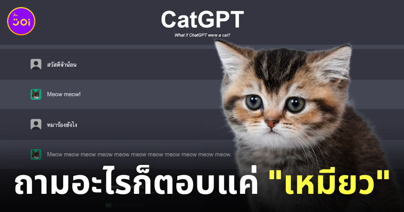 เว็บไซต์ Catgpt คุยกับแมว เหมียว