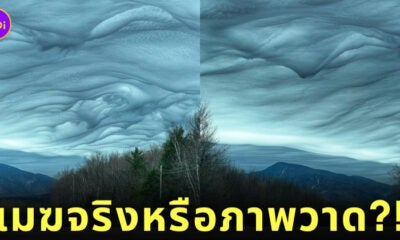เมฆก่อตัวคล้ายคลื่นทะเล Undulatus Asperatus ภาพวาด แวนโก๊ะ