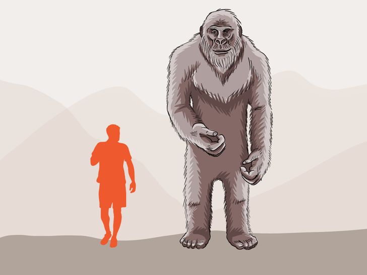ลิงยักษ์ (The Huge Ape หรือ Gigantopithecus)