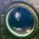 Dr. Deep Sea นักวิจัยชาวอเมริกัน ฟลอริดา ทำลายสถิติ อยู่ใต้น้ำทะเลนาน 100 วัน