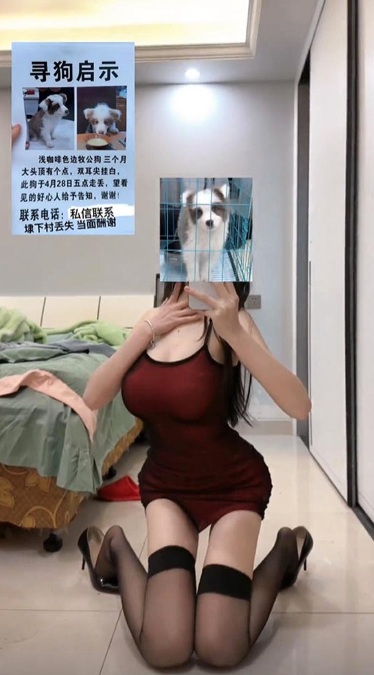 สาวจีน โชว์คลิปหุ่นแซ่บ เซ็กซี่ ตามหาหมาหาย