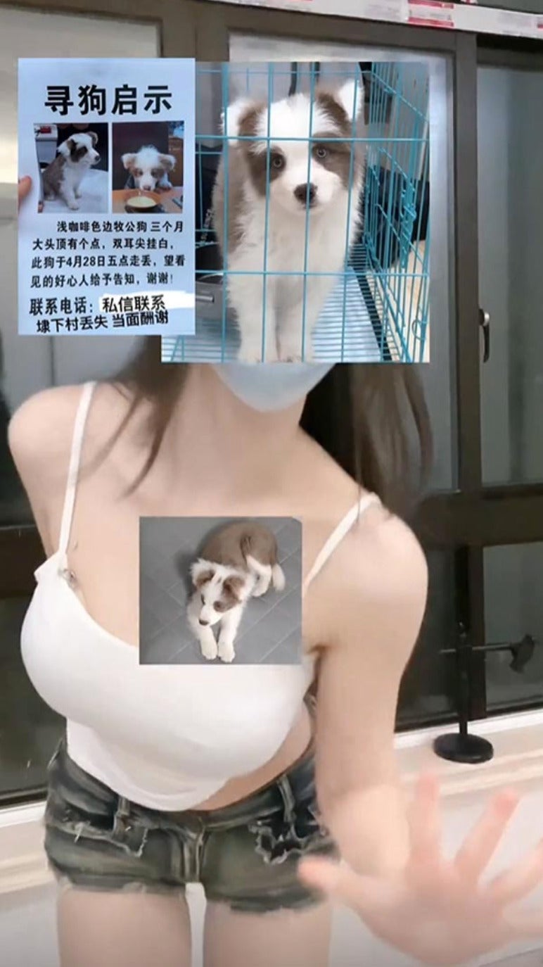 สาวจีน โชว์คลิปหุ่นแซ่บ เซ็กซี่ ตามหาหมาหาย