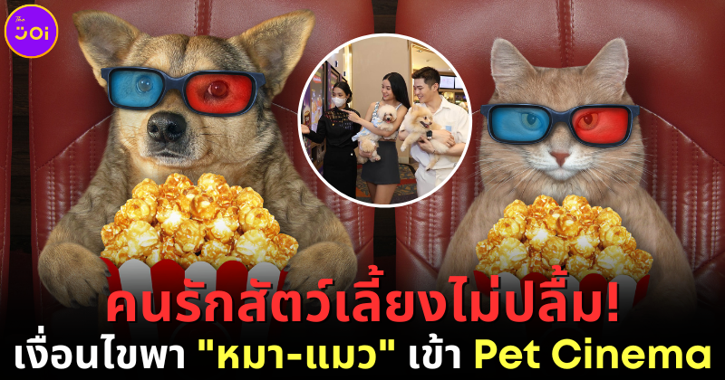 คนรักสัตว์เลี้ยงไม่ปลื้ม เงื่อนไขพา หมา แมว เข้า Pet Cinema
