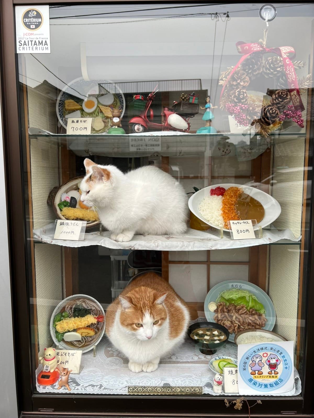 แมวกวัก ร้านโซบะญี่ปุ่น