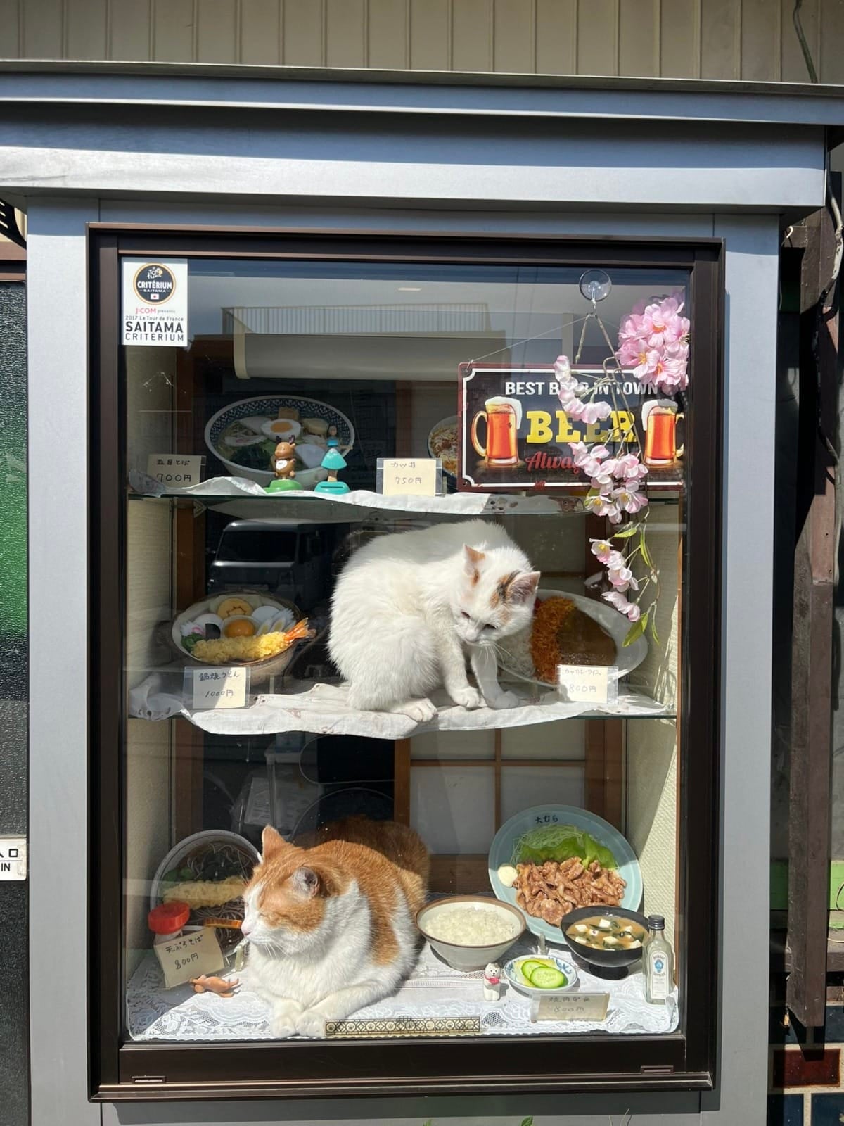 แมวกวัก ร้านโซบะญี่ปุ่น
