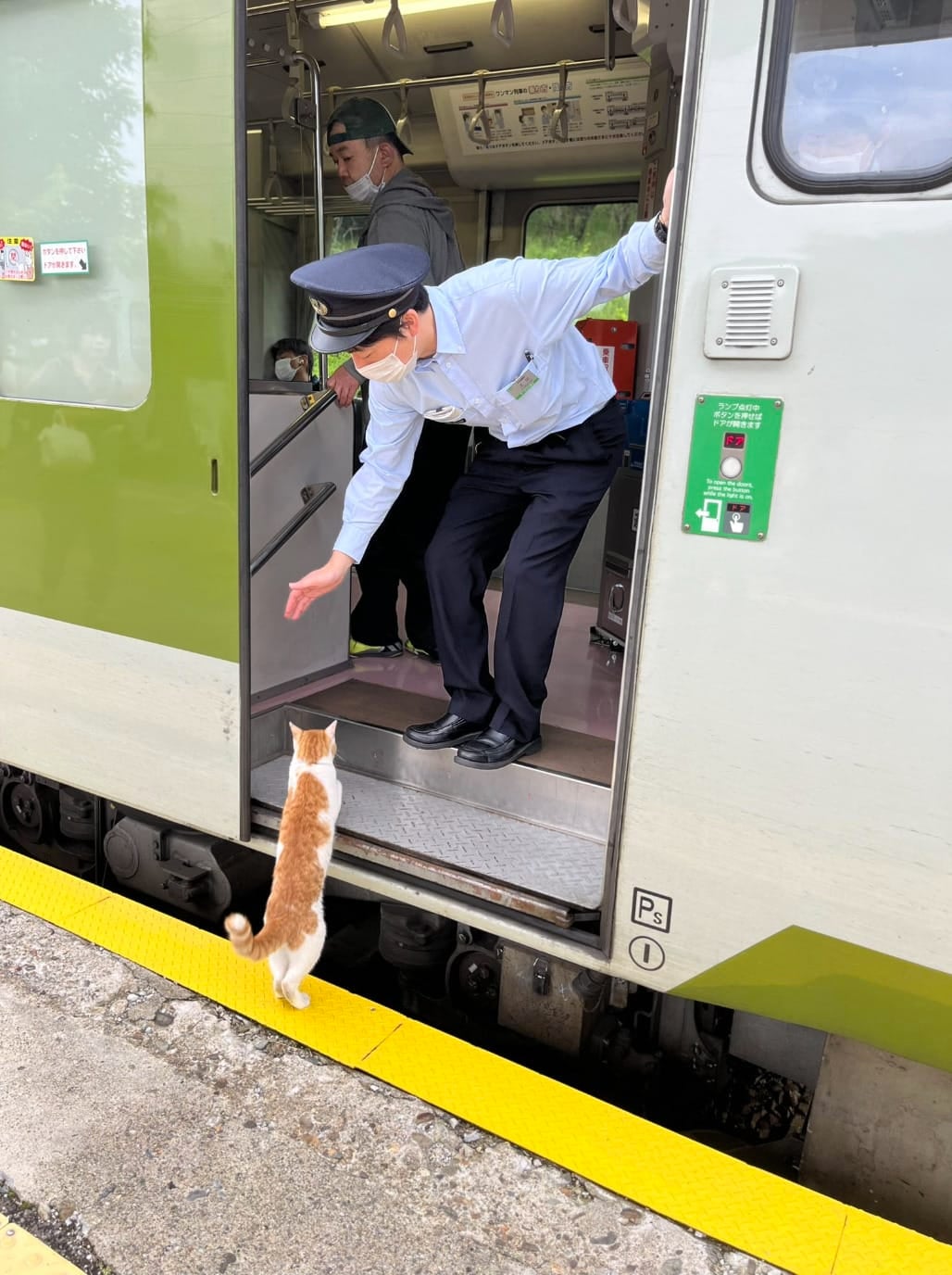 แมวส้มญี่ปุ่นแอบขึ้นรถไฟฟรี