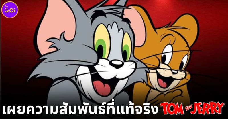 ปก Tom And Jerry เรื่องจริง เพื่อนซี้