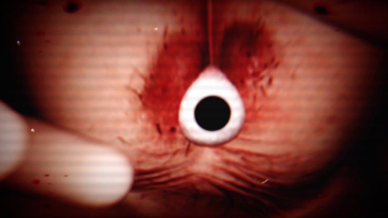 เกม SHIRIME: The Curse of Butt-Eye เกมหนีผีตูด ชิริเมะ stream