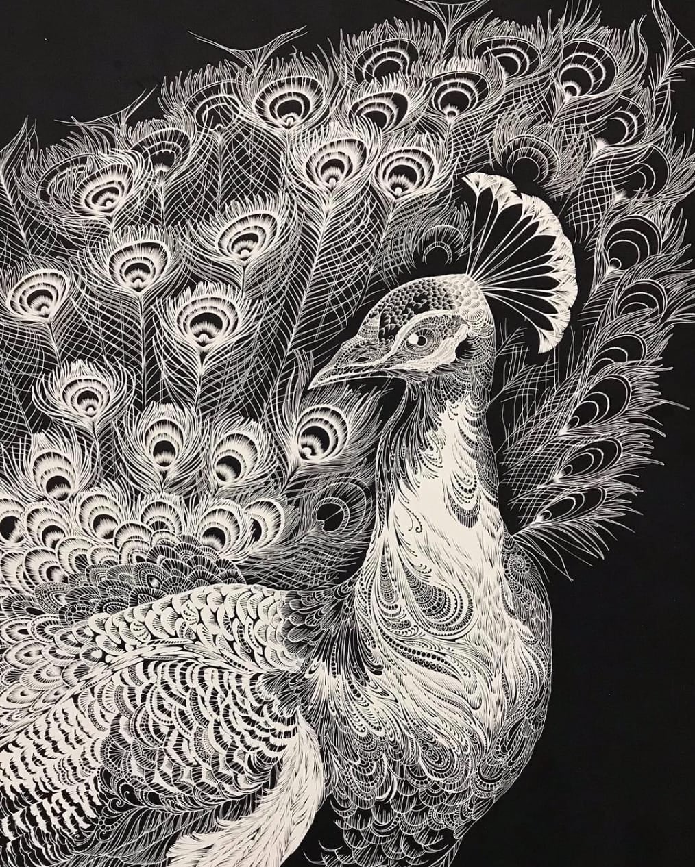 ศิลปินชาวญี่ปุ่น Masayo Fukuda ตัดกระดาษรูปสัตว์ต่าง ๆ