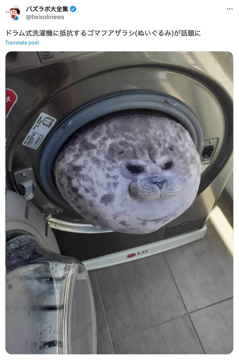 ตุ๊กตาแมวน้ำลายจุดตัวอ้วนในเครื่องซักผ้า