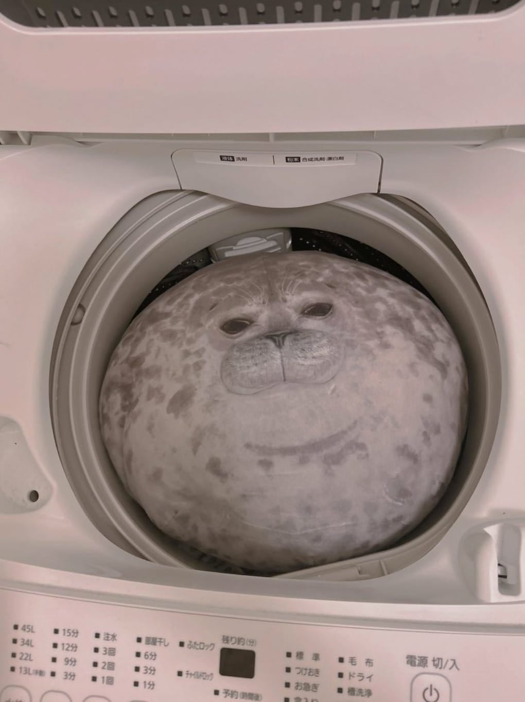ตุ๊กตาแมวน้ำลายจุดตัวอ้วนในเครื่องซักผ้า