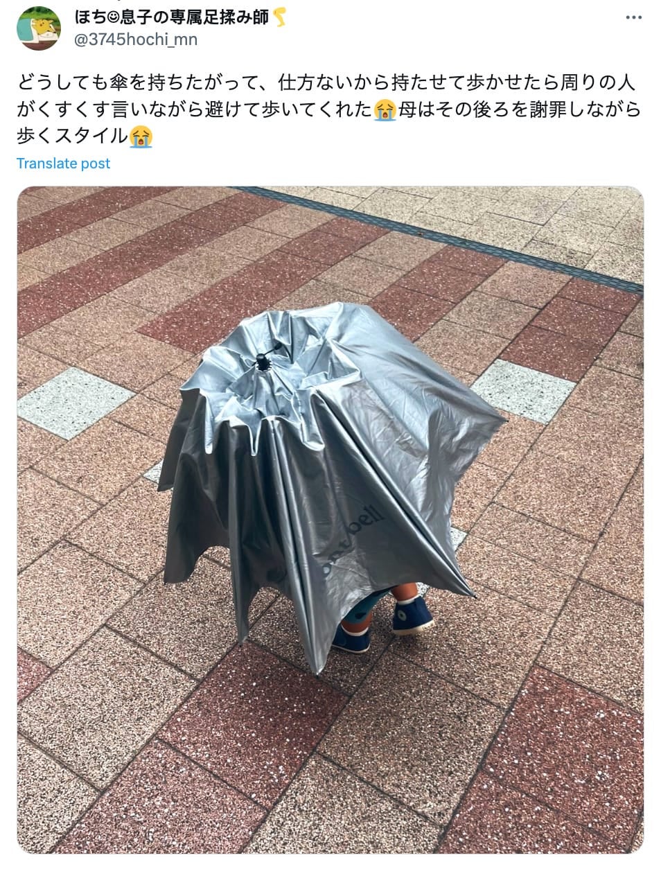 ภาพเด็กน้อยญี่ปุ่นถือร่มขนาดใหญ่กว่าตัว