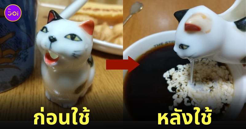 แก้วเทนมแมวอ้วก ญี่ปุ่น